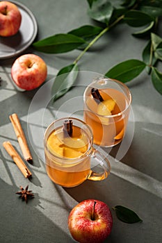 Homemade apple punch with fresh apples, cinnamon and spices in cups on a green background with fresh fruits, branch and morning