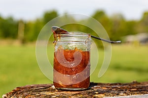 Homemade apricot jam in beautiful glass jar photo