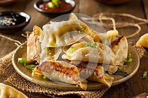 Homemade Asian Pork Potstickers