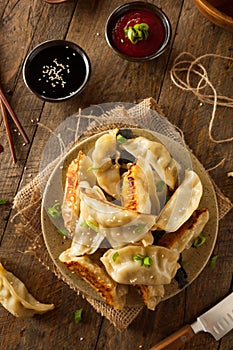 Homemade Asian Pork Potstickers