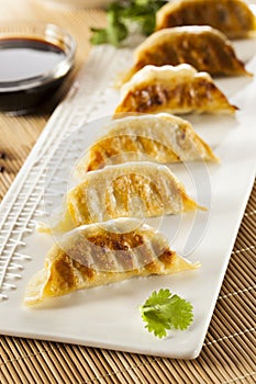 Homemade Asian Vegeterian Potstickers