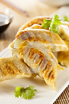 Homemade Asian Vegeterian Potstickers