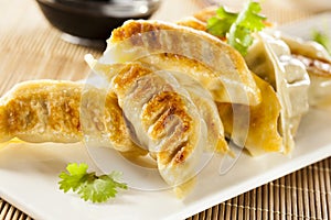 Homemade Asian Vegeterian Potstickers