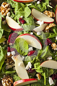 Homemade Autumn Apple Walnut Spinach Salad