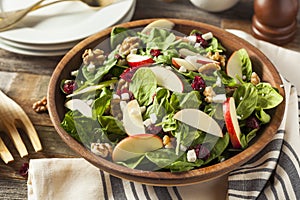 Homemade Autumn Apple Walnut Spinach Salad