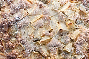 Homemade baked apple cake sprinkled with icing sugar, top view, close-up