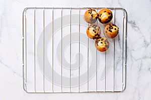Homemade baked Chocolate Chip Muffins on the oven rack. Overhead view