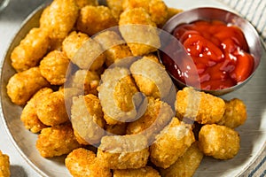 Homemade Baked Fried Tater Tot Potatoes