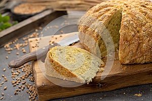 Homemade baked round bread with corn and wheat