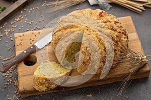 Homemade baked round bread with corn and wheat