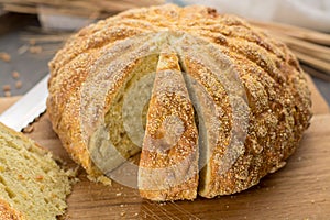 Homemade baked round bread with corn and wheat