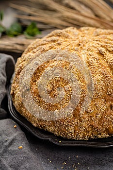 Homemade baked round bread with corn and wheat