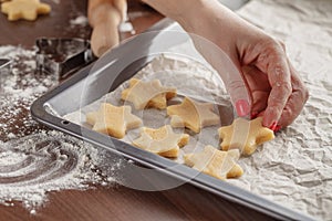 Domestico cottura al forno la cucina scena visualizzato una donna possesso cottura al forno 