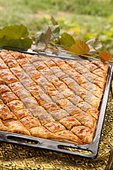 Homemade baklava with nuts and honey in the garden