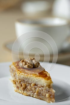 Homemade baklava with nuts and honey