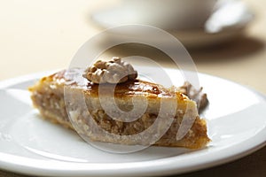 Homemade baklava with nuts and honey