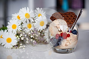 Homemade banana icecream with chia-seeds, yogurt and a chocolate waffle