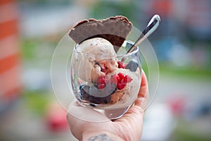 Homemade banana icecream with chia-seeds, yogurt and a chocolate waffle