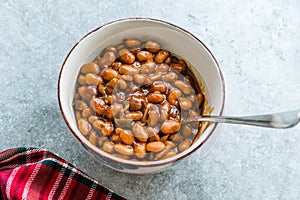 Homemade Barbecue Baked Beans in Porcelain Bowl