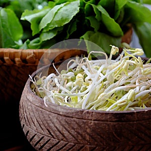 Homemade bean sprouts for food safety, germinate of green beans