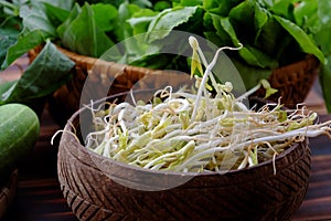 Homemade bean sprouts for food safety, germinate of green beans