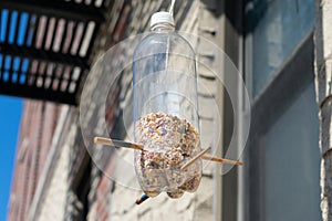 Homemade Plastic Bottle Bird Feeder Hanging Outside an Urban Apartment Building in New York City photo
