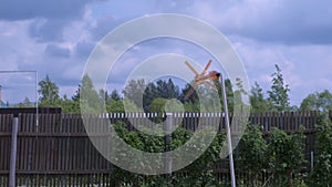 Homemade bird repeller from a plastic bottle looks like ventilator in garden.