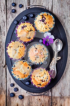 Homemade blueberry muffins on a tray top view