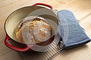 Homemade boule round loaf of freshly baked sourdough bread in a red Dutch oven