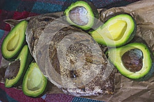Bread and avocado closeup on paper and plaid. photo