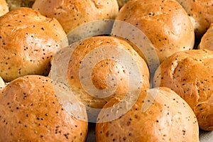 Homemade bread buns with poppy seeds.