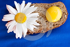 Homemade bread with cereals, chamomille and fresh egg on a blue background
