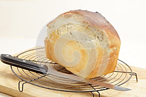 Homemade bread cooling on a rack