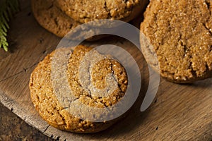 Homemade Brown Gingersnap Cookies photo