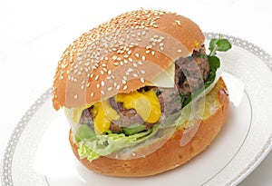 Homemade burger in bun