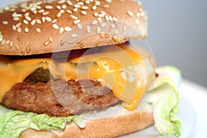 Homemade burger, close-up