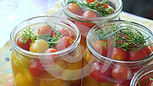 Homemade canned tomatoes with herbs