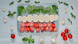 Homemade caprese salad with organic ingredients: mozzarella cheese, cherry tomatoes, fresh basil leaves, garlic. Italian food