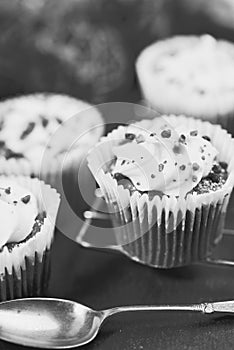 Homemade Carrot Cupcakes