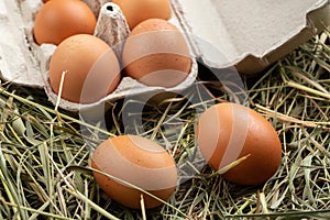 Homemade chicken eggs in a cardboard tray on a straw