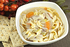 Homemade Chicken Noodle Soup