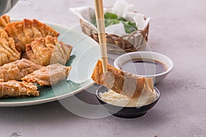 Homemade chinese and korean fried chicken dumplings