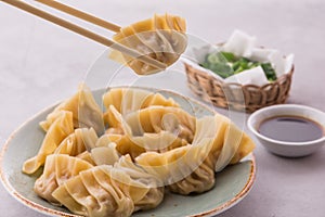 Homemade chinese and korean steamed dumplings