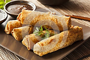 Homemade Chinese Vegetable EggRolls