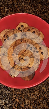 Homemade choclate chip cookies