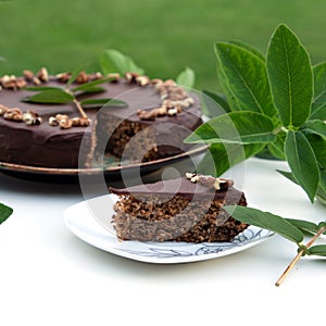 Homemade Chocolate Cake. Traditional Croatian cake - Skradinsky cake. World cuisines.