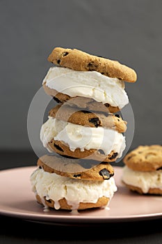 Homemade Chocolate Chip Cookie Ice Cream Sandwich on a pink plate, side view. Close-up