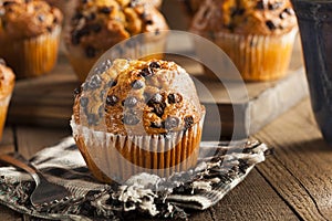 Homemade Chocolate Chip Muffins