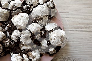 Homemade Chocolate Crinkle Cookies on a pink plate, top view. Space for text