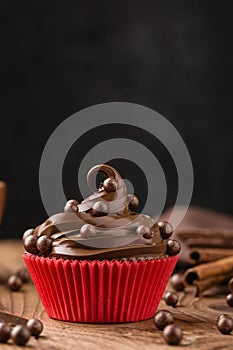 Homemade chocolate cupcake over black background with copy space